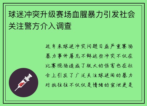 球迷冲突升级赛场血腥暴力引发社会关注警方介入调查
